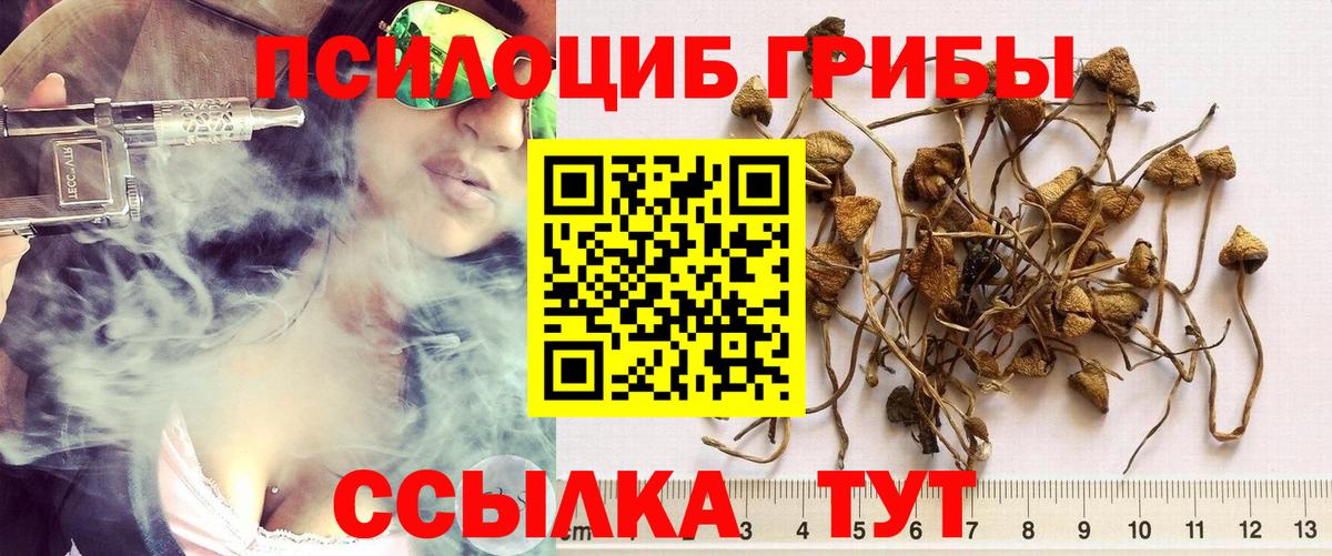 Орск  Галлюциногенные грибы Cubensis  Вход с VPN 