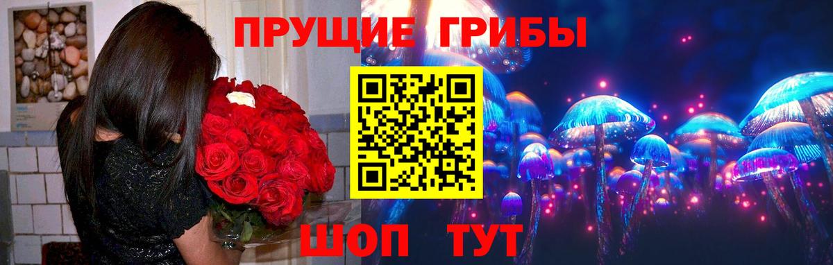 Галлюциногенные грибы Cubensis Орск